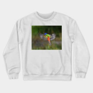 Painted Bunting Bird Flying Colors Crewneck Sweatshirt